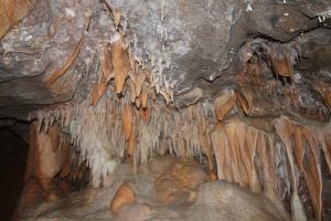 Stalaktiten Buchan Caves