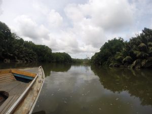 Bootsbug auf dem Brunei River