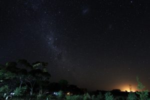 Milchstrasse über einem australischem Park