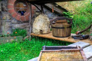 Im Land der Hobbits gibt es sogar einen Imker.