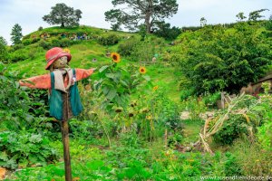 Und im Gemüsegarten steht die einzige Vogelscheuche im Land der Hobbits