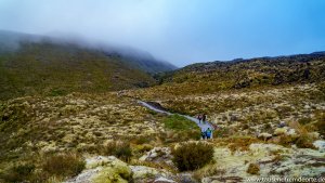 Wenn du dir beim Tongariro Crossing Zeit lässt, verlaufen sich die Massen meistens ganz gut.