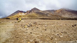 Tongariro Crossing - ein Blick zurück auf den Red Crater