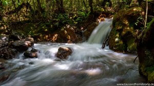 Ein kleiner Bachlauf auf der letzten Strecke des Tongariro Crossing