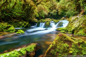 Nass Bachlauf Fotoparade
