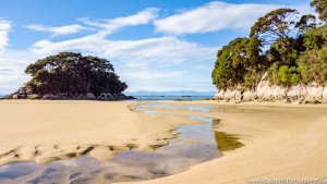 Die Mosquito Bay war einer der wenigen Strände auf unserer Kajaktour durch den Abel Tasman National Park, die nicht von Wassertaxen oder Booten angefahren werden darf.