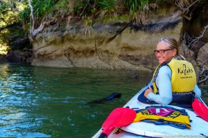 neugieriger Seebär spielt direkt neben unserem Kajak bei unserer Kajaktour durch den Abel Tasman National Park