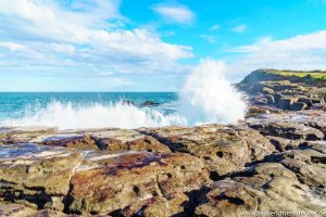 Südinsel Neuseeland - Auch die Curio Bay liegt entlang der Southern Scenic Route