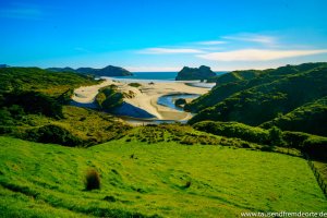 Bei der Wanderung des Hill Top Tracks am Cape Farewell hast du irgendwann diesen Blick auf den Wharariki Beach