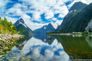 Südinsel Neuseeland - Milford Sound