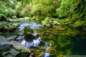 Südinsel Neuseeland - Riwaka Resurgence