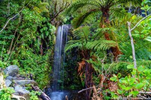 Südinsel Neuseeland - Viele Wasserfälle lagen auf dem Weg zum Franz Josef Gletscher