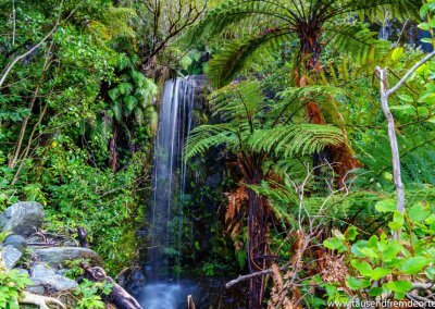 Südinsel Neuseeland - Viele Wasserfälle lagen auf dem Weg zum Franz Josef Gletscher