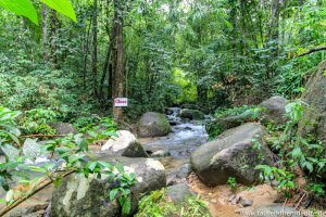 Gesperrter Weg im Khao Sok Nationalpark