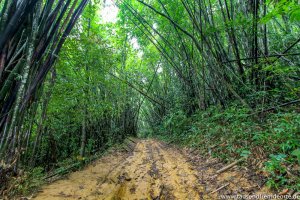 Khao Sok Nationalpark während der Regenzeit