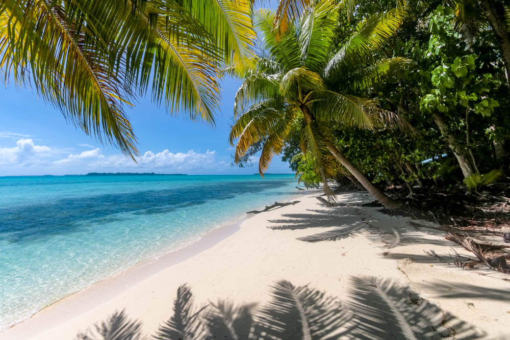 Palau Titelbild