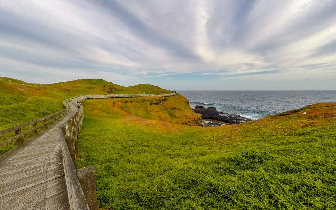 Phillip Island – die Insel der Pinguine