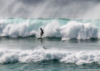 Surfer am Bondi Beach in Sydney