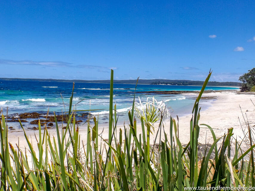 Jervis Bay Strand Autralien