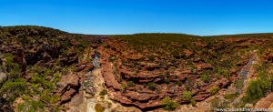 Z Bend Gorge im Kalbarri Nationalpark war der absolute Wahnsinn