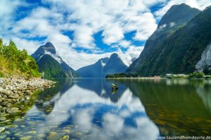Auch der Milford Sound gehört als Highlight in unseren Jahresrückblick.