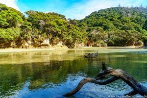 Viele Buchten und Wasser gibt es im Abel Tasman Nationalpark