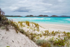 Dünenlandschaft in der Lucky Bay im Cape le Grand Nationalpark